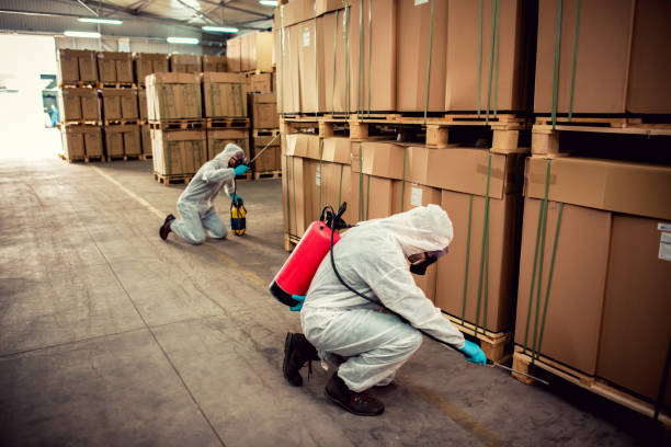 Best Pest Inspection Near Me  in Apple Valley, OH
