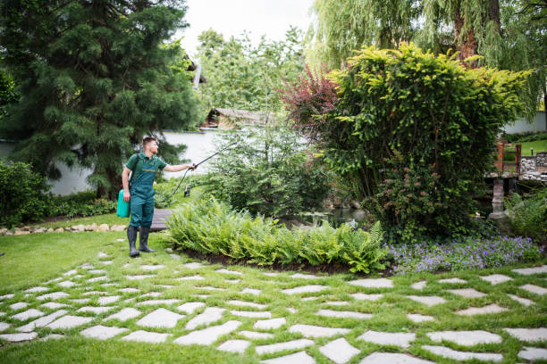Best Affordable Pest Control Services  in Apple Valley, OH