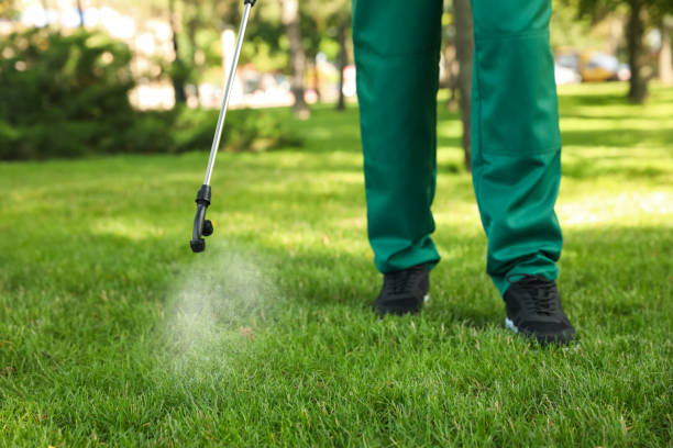 Pest Control for Restaurants in Apple Valley, OH