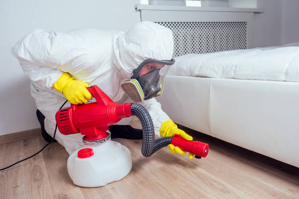 Best Pest Inspection Near Me  in Apple Valley, OH