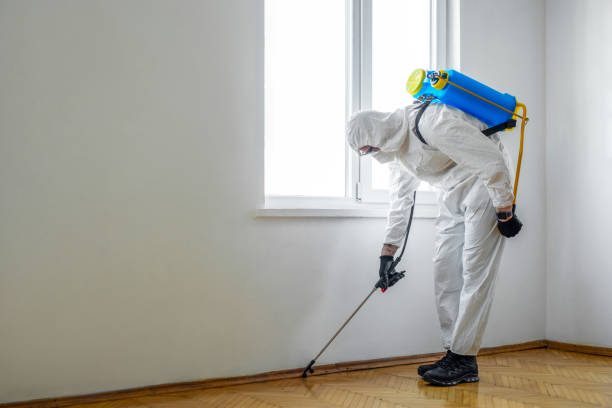 Best Flea Control Services  in Apple Valley, OH