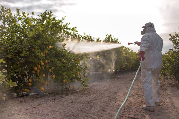 Best Emergency Pest Control  in Apple Valley, OH