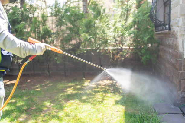 Best Affordable Pest Control Services  in Apple Valley, OH