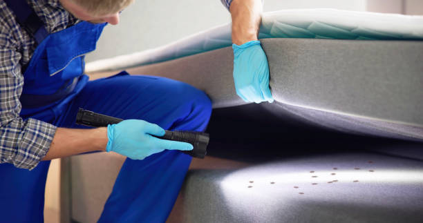 Best Ant Control Services  in Apple Valley, OH