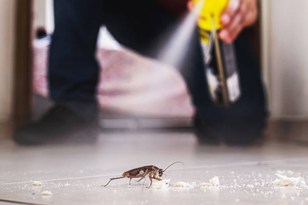 Professional Pest Control in Apple Valley, OH