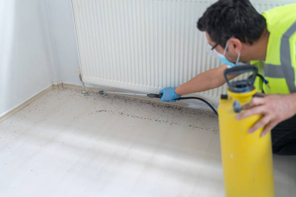 Best Rat Extermination Near Me  in Apple Valley, OH